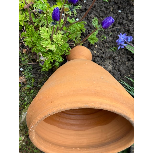 Large Rustic Terracotta Amphora Planter, 1990s For Sale - Image 9 of 11