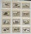 1900 - 1909 1907 French Photogravure Prints - Collection of Twelve Wild Animals #1 - For Sale - Image 5 of 5