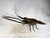 Beautiful and majestic bronze sculpture of an articulated lobster in Okimono style. The lobster opens and serves as a...