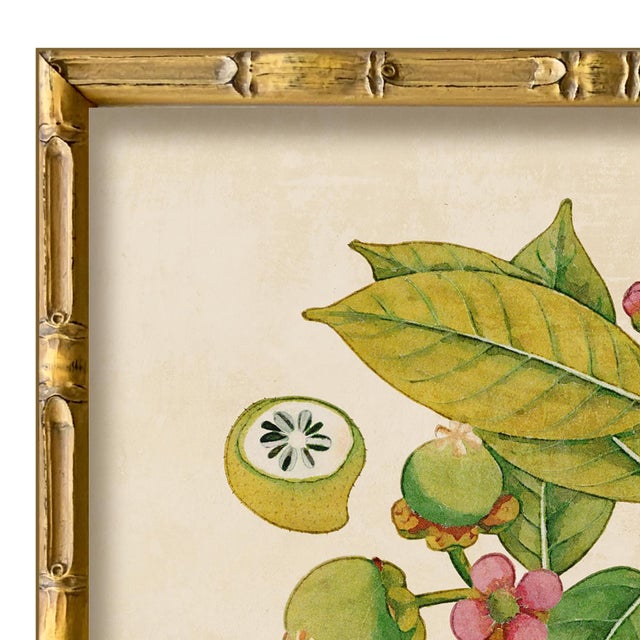 Various Artists Reproduction Giclee Print of Vintage Fruit & Flowers (1) Art Print, Framed For Sale - Image 4 of 6