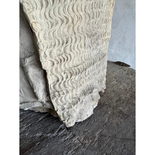 Plaster Statues by Walter De Buck, Set of 2 For Sale - Image 11 of 14