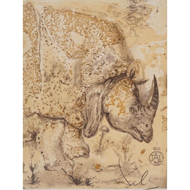 Salvador Dali, Rhinoceros, Homage to Albrecht Dürer, Signed Lithograph For Sale - Image 6 of 8