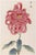 Pink Mum by Hasegawa, Vintage Japanese Botanical Art Print, 16" X 24" For Sale
