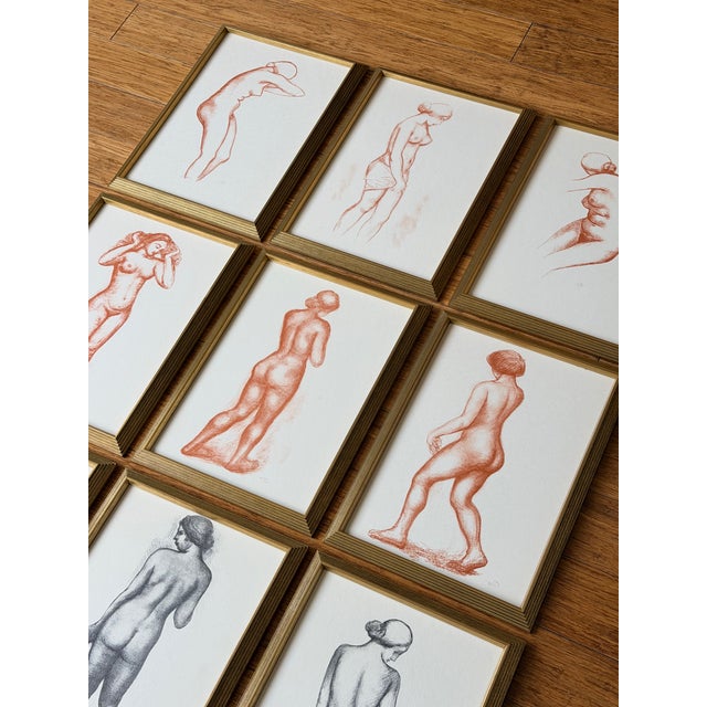 Mid 20th Century Suite of Twelve Aristide Maillol Lithographs For Sale - Image 10 of 10