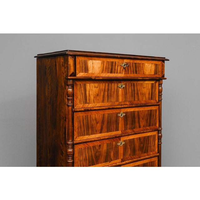 Gründerzeit Chest of Drawers in Walnut, 1700s For Sale - Image 6 of 18