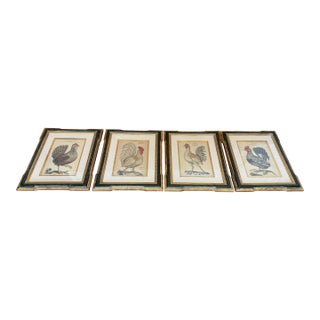 Antique Colored Rooster Prints in Trowbridge Frames - Set of 4 For Sale