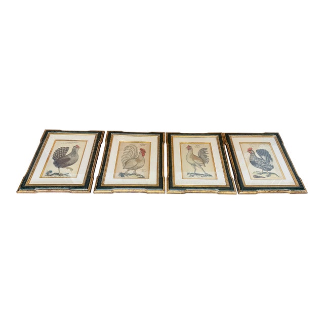 Antique Colored Rooster Prints in Trowbridge Frames - Set of 4 For Sale