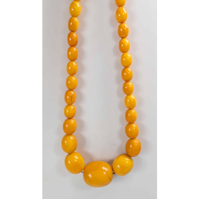 Amber 20th Century Butterscotch Egg Yolk Baltic Amber Bead Necklace For Sale - Image 8 of 12