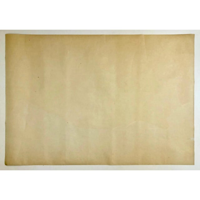 Brasil production film; directed by Bruno Barretto; starring: Sonia Braga, Marcello Mastroianni This piece has an...