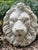 Vintage Concrete Lion Fountain Head For Sale - Image 6 of 6