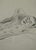 1920s Herbert Zumpe, Sleeping Youth, 1925, Pencil on Paper For Sale - Image 5 of 10