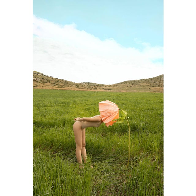 Carla Sutera Sardo, Wild Flower, 2025, Photographic Print For Sale - Image 3 of 3