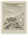 Le Caciicame is an etching realized by Jacques Baron in 1771. It belongs to the suite "Histoire Naturelle de Buffon". The...