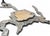 Sculptural Metal and Glass Coffee Table by René Broissand Welded, France, 1998 For Sale - Image 4 of 12