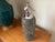 Art Deco Vintage Sparklets Soda or Seltzer Dispenser For Sale - Image 3 of 13