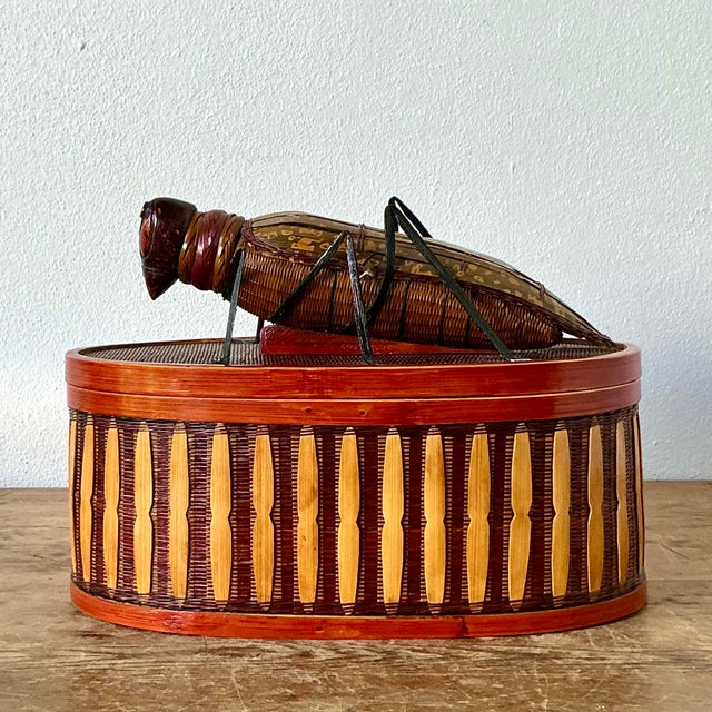 Late 20th Century Vintage Shanghai Handicrafts Weave Bug Box For Sale - Image 5 of 11