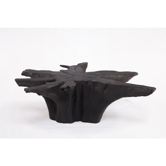 Contemporary Black Burnt Organic Teak Root Coffee Table 81 For Sale - Image 3 of 6