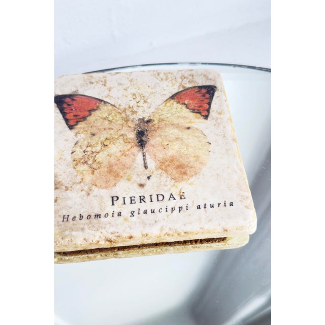 Vintage Late 20th Century Italian Marble Coasters With Butterfly and Botanical Illustrations - Set of 5 For Sale - Image 4 of 9