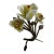 Vintage Capodimonte Porcelain Rose Bouquet on Metal Branch, Italy For Sale