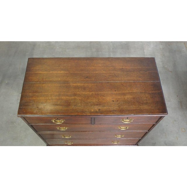Wood English Chest of Drawers with 5 Drawers For Sale - Image 7 of 14