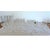 1970s Longchamp Crystal Glasses by Cristal d'Arques, 1970, Set of 24 For Sale - Image 5 of 8