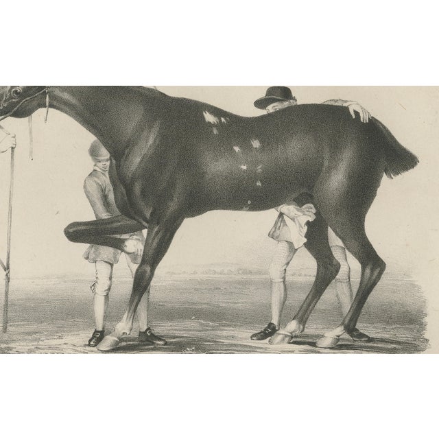 After Chalon, Racehorse Training Scene, Lithograph, 1840 For Sale - Image 6 of 9