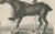 After Chalon, Racehorse Training Scene, Lithograph, 1840 For Sale - Image 6 of 9