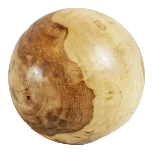 Polished Teak Root Sphere Art