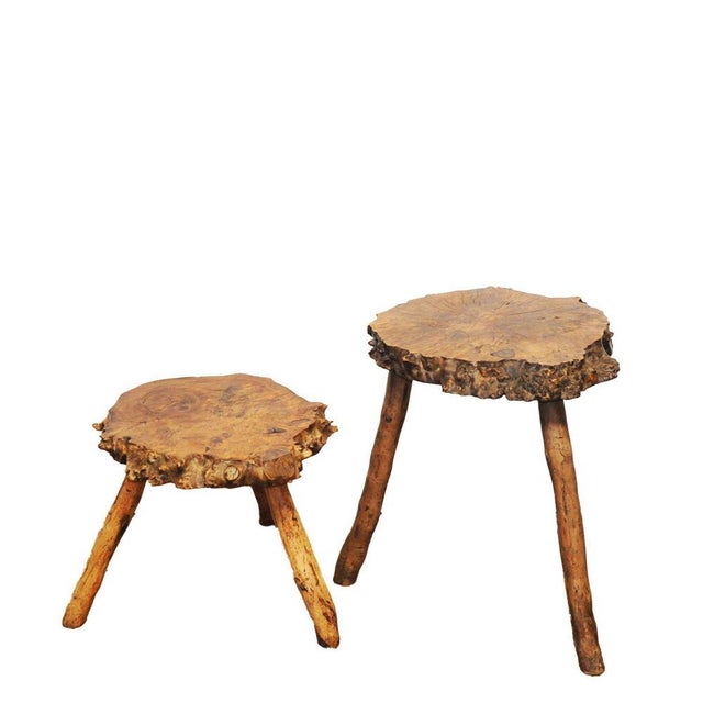 Sculptural Burr Walnut Side Tables, 1950s, Set of 2 For Sale - Image 3 of 11