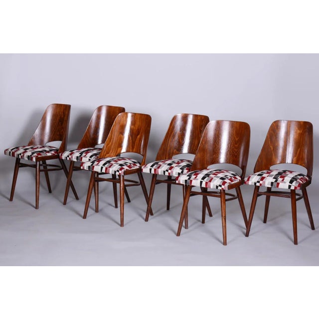 1950s Mid-Century Chairs in Beech by Oswald Haerdtl, 1950s, Set of 6 For Sale - Image 5 of 8