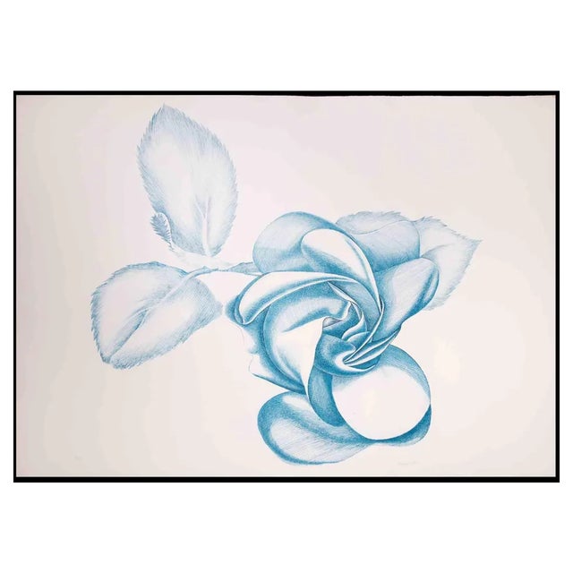 Giacomo Porzano, Blue Rose, Original Etching, 1970s For Sale