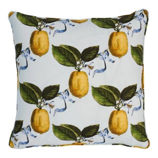 Schumacher x Johnson Hartig Le Citron 20" Pillow in Sky For Sale