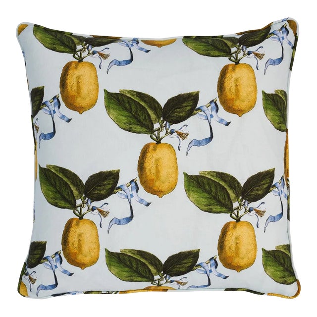 Schumacher x Johnson Hartig Le Citron 20" Pillow in Sky For Sale