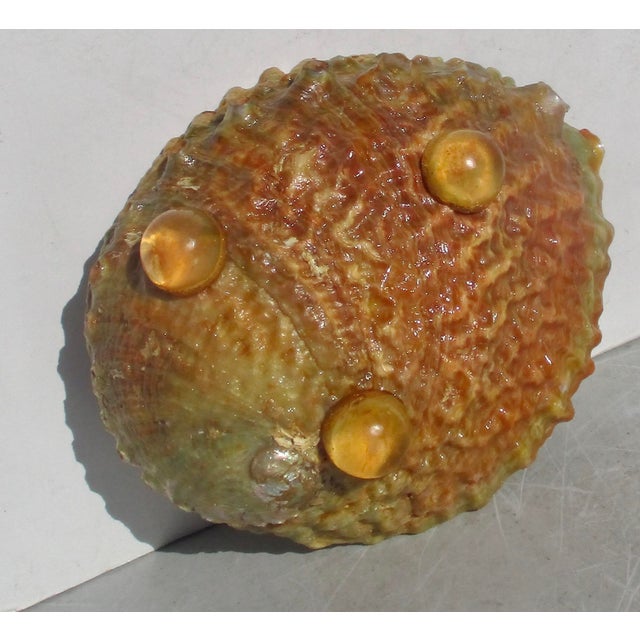 1990s Gold Lacquered Abalone Shell Dish For Sale - Image 5 of 5