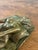 1910s Louis Chalon Bronze Nude Woman Sculpture Putting on Stockings on Marble Base For Sale - Image 4 of 11