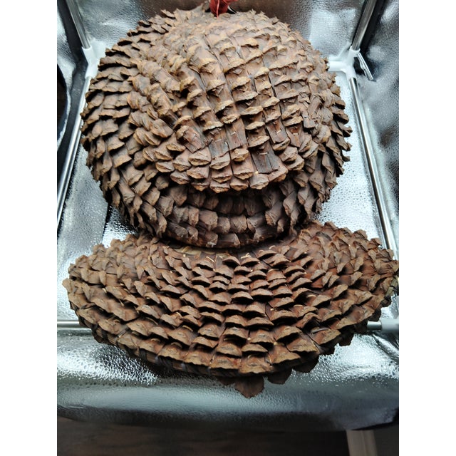 This appears to be a Pinecone Needle Turkey Basket. Perhaps Native America Coushatta. The condition has some missing pine...
