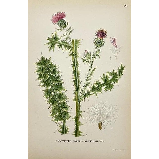 Early 19th Century Early 19th Century James Sowerby Botanical Prints – Yellow Sedge and Pale Sedge, Set of 10 For Sale - Image 5 of 11