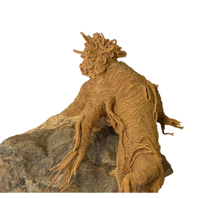 Artistic Natural Wood on Stone Carve Into Chinese Ginseng Root Sculpture For Sale In San Francisco - Image 6 of 7