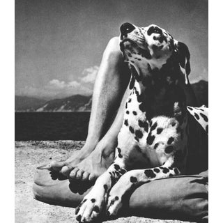 Herbert List "Master and Dog" Italy. Liguria. Portofino Vintage Sheet-Fed Gravure, 1936 For Sale