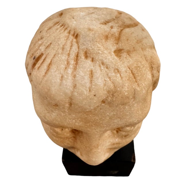 19th Century Italian Grand Tour Marble Bust For Sale - Image 10 of 12