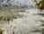Moody Earth Tone Wetland & River Canvas - Original Acrylic Art For Sale In Atlanta - Image 6 of 11
