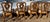 Set 4 Louia XV Rococo Arm Chairs Schinadig Furniture Wood Carvings For Sale - Image 4 of 9