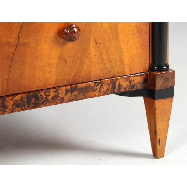 Brown Biedermeier Chest of Drawers, 1820s For Sale - Image 8 of 14
