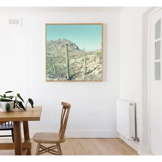 American "Faded Desert" Vintage Photo Print of Cacti in Desert For Sale - Image 3 of 3