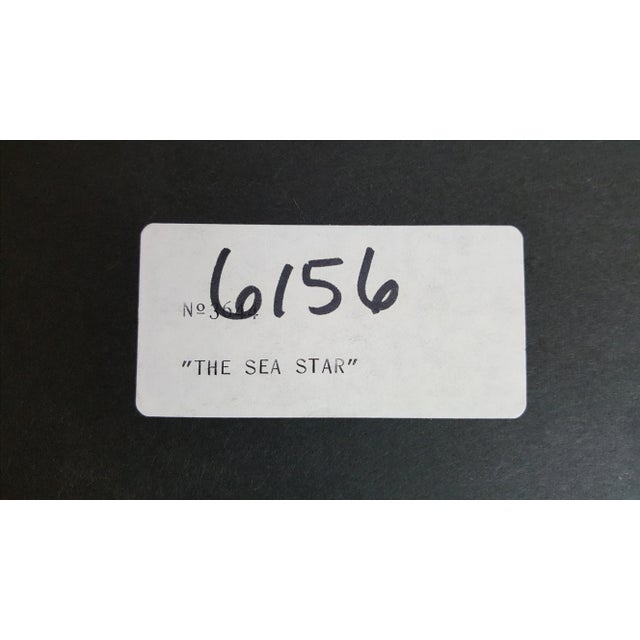 "The Sea Star" Painting by Ferreria Donas For Sale - Image 4 of 4