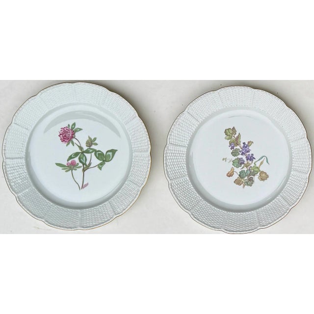 Four Nymphenburg Porcelain Botanical Plates For Sale In New York - Image 6 of 11