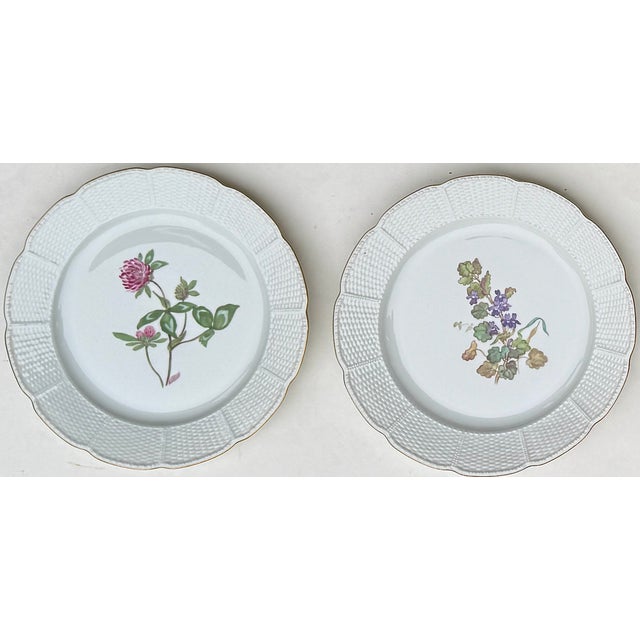 Vintage Nymphenburg Porcelain Botanical Plates – Set of Four For Sale In New York - Image 6 of 11