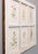 Antique Arts and Crafts Window Sashes With 19th Century Botanicals For Sale - Image 4 of 12