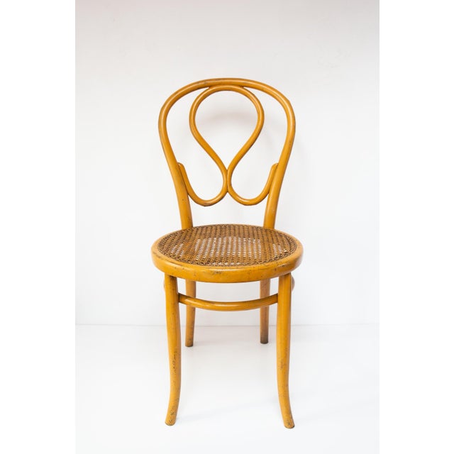 Set of Yellow Chairs by Josias Eissler & Söhne, Vienna, 1890s For Sale - Image 6 of 10