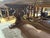 French Monastery Style Wood Dining Table, 1900s For Sale - Image 10 of 11